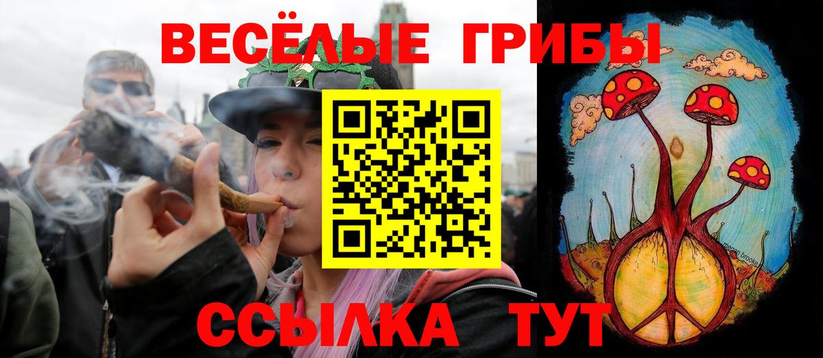 Псилоцибиновые грибы прущие грибы  Вход с VPN  Чита  Галлюциногенные грибы Psilocybe 